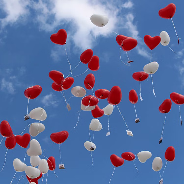 Rote & Weiße Herz Luftballons XXL 40 Stück Ø 40,6 cm Party-Deko Hochzeit Verlobung Muttertag Liebeserklärung Wedding Hochzeits-Deko Ballons zur Trauung fliegen lassen Ballonflugkarten zur Hochzeit Rote & Weiße Herz Luftballons XXL 40 Stück Ø 40,6 cm Party-Deko Hochzeit Verlobung Muttertag Liebeserklärung Wedding Hochzeits-Deko Ballons zur Trauung fliegen lassen Ballonflugkarten zur Hochzeit
