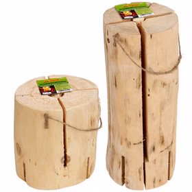 Schwedenfeuer Favorit Feuer