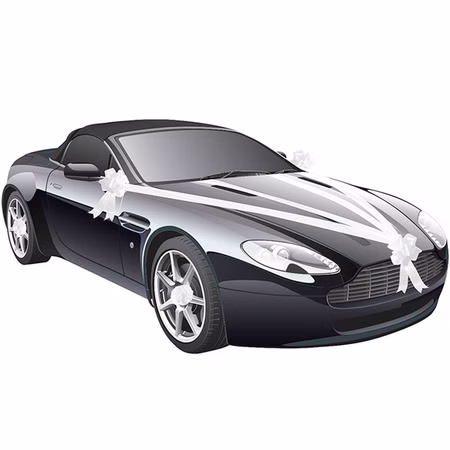 Hochzeits-Auto Girlande Weiß 8 cm x 20 m Autoschleife Autoschmuck Wedding Car Deko Hochzeits-Auto Girlande Weiß 8 cm x 20 m Autoschleife Autoschmuck Wedding Car Deko