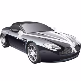 Hochzeits-Auto Girlande Weiß 8 cm x 20 m Autoschleife Autoschmuck Wedding Car Deko Hochzeits-Auto Girlande Weiß 8 cm x 20 m Autoschleife Autoschmuck Wedding Car Deko