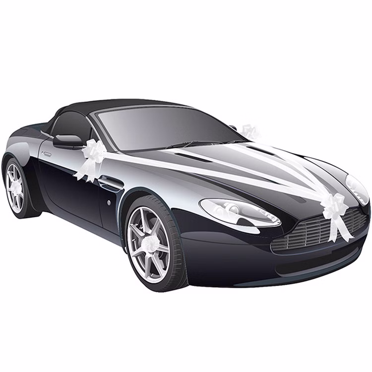 Hochzeits-Auto Girlande Weiß 8 cm x 20 m Autoschleife Autoschmuck Wedding Car Deko Hochzeits-Auto Girlande Weiß 8 cm x 20 m Autoschleife Autoschmuck Wedding Car Deko