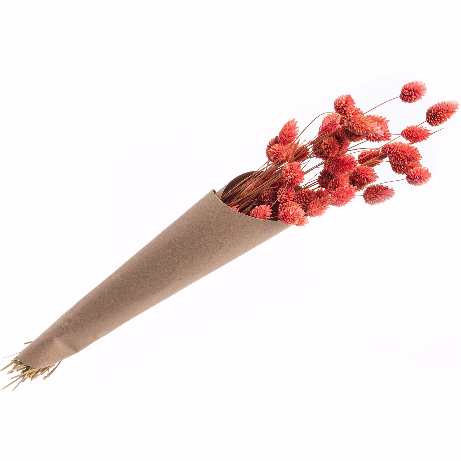 Getrocknetes Phalaris-Kanariengras Rosa 35g 60 cm lang Deko Hochzeit Geburtstag Blumen-Deko Garten-Party Vintage Blumengebinde Trockenfloristik Tisch-Deko Basteln 