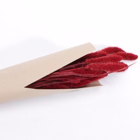 Setaria Trockenblumen Strauß Rot 100g 74 cm Wohn-Deko Schilfgras Tisch-Deko Herbst Dekoration Wohn-Accessoires Blumenstrauß Basteln & Dekorieren