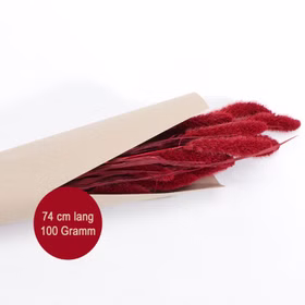 Setaria Trockenblumen Strauß Rot 100g 74 cm Wohn-Deko Schilfgras Tisch-Deko Herbst Dekoration Wohn-Accessoires Blumenstrauß Basteln & Dekorieren