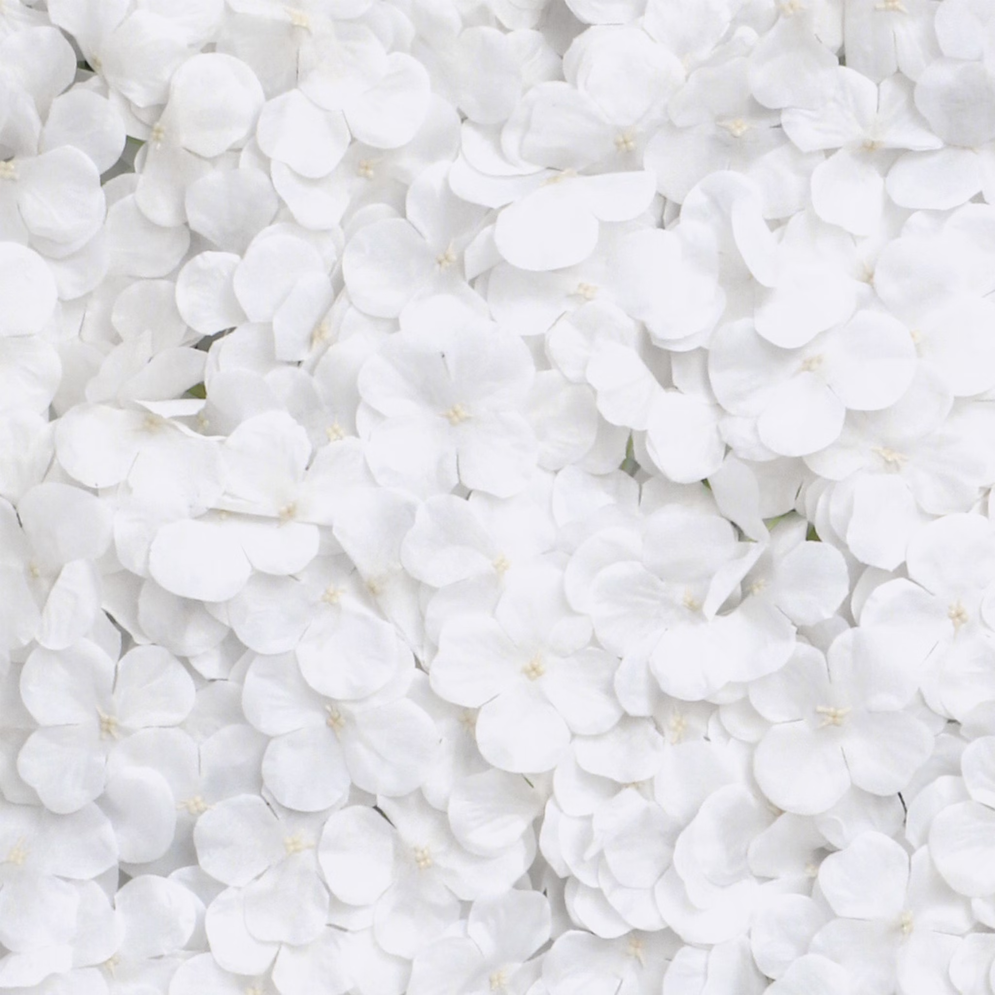 15597-Blumenpaneel-weisse-Hortensien-60-x-40-cm-Wand-Deko-Hochzeit-Geburtstag_1.jpg