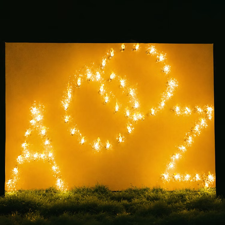 Lichterbid Brennende Ringe mit zwei Buchstaben Feuerwerk Feuerbild Geschenkidee Hochzeit Verlobung Heiratsantrag Liebe Lichterbild Brennende Ringe mit den Initialen zur Auswahl.