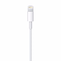 079136-2.jpeg 079136-2.jpeg