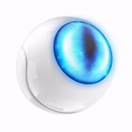 p5130-1-100a04bb8a.jpg