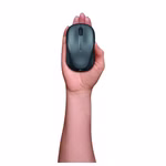 76599-6.jpg