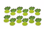 9855-kohlrabi-12-stk-a.jpg