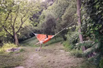 WA-1398166-3.jpeg