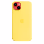 WA-1905498-4.jpeg