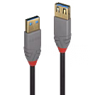 WA-1909809-5.jpeg