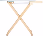 12480-small-foot-Buegelbrett-mit-Buegeleisen-Profilansicht-X_1.jpg