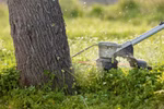 p85547-4-3fdd90aa65.jpg
