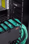4143750-3272005571.jpg