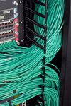 4143750-4458583338.jpg