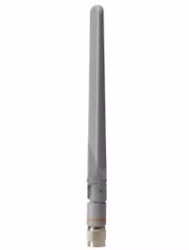 TS-2545393-1.jpeg