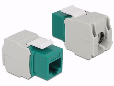 Delock Keystone module - Modulare Eingabe - CAT 6 - UTP - RJ-45 - grün