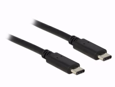 Delock - USB-Kabel - 24 pin USB-C (M) zu 24 pin USB-C (M) - USB 2.0 - 1 m - Schwarz