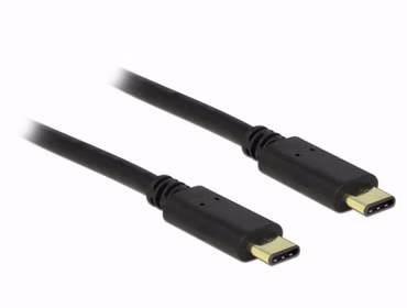 Delock - USB-Kabel - 24 pin USB-C (M) zu 24 pin USB-C (M) - USB 2.0 - 3 A - 2 m - Schwarz