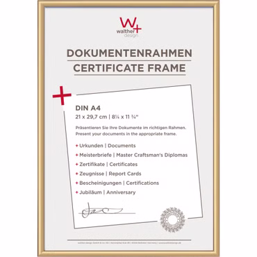 Walther New Lifestyle 21x29,7 Kunststoff gold DIN A4 KV130G