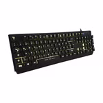 438020-07.jpg