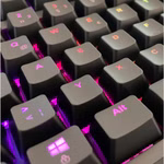808957-08.jpg
