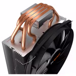 861058-05.jpg