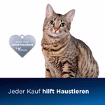 620587-09.jpg