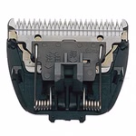 559211-00.jpg
