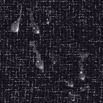 641825-10.jpg