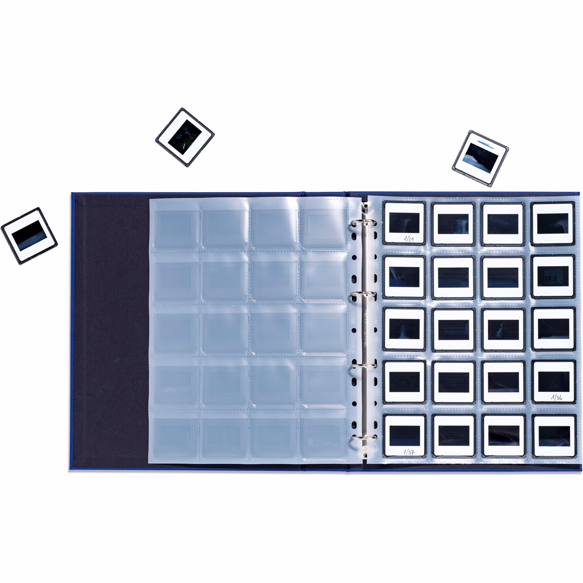 254300-09.jpg