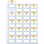 254300-02.jpg