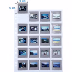 254318-04.jpg