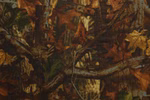 p151302-3-8f68c52eb8.jpg