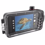 802006-02.jpg