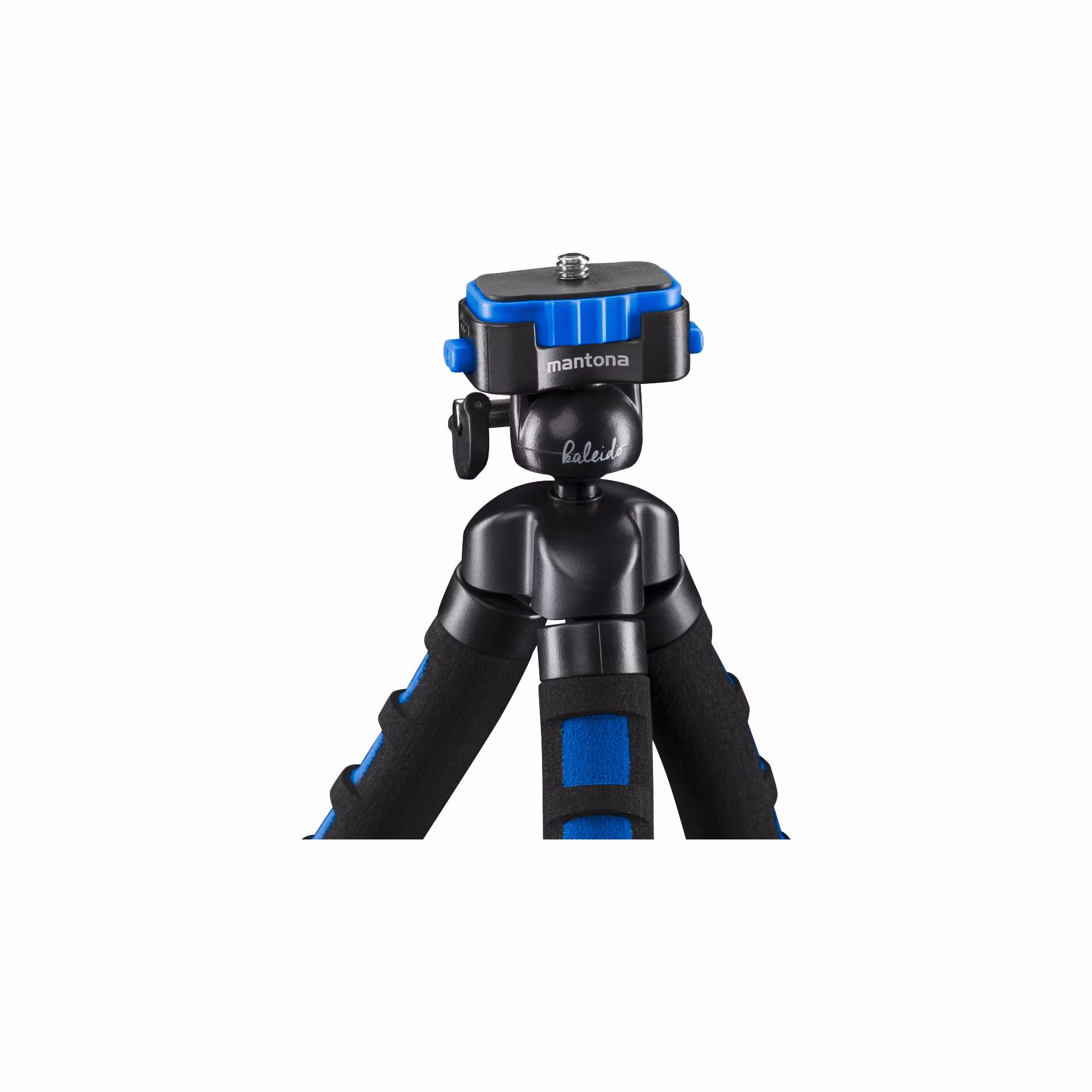 311390-01.jpg