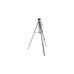 690970-01.jpg