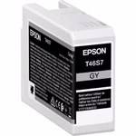 565035-00.jpg