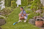 p161768-2-97d8cd6eb8.jpg