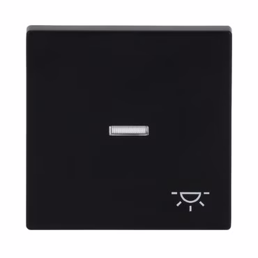BJ Wippe f. Kontrollschalter 1789 LI-885 Symbol Licht