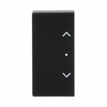 BJ Wippe 2f Jalousie schwarz 6232-20-885 matt Busch-free@home future linear