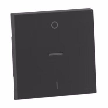 Legrand 765410 SEANO Wippe Ausschalter 2p Beleuchtungsfenster Anthrazit