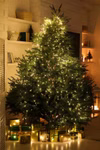 p204525-4-eb7616a4be.jpg