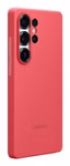 159607-5.jpeg