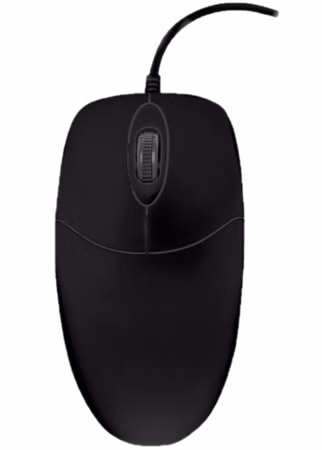 Active Key AK-PMJ1 Series CleanMouse - Maus - ergonomisch - rechts- und linkshändig - optisch - 2 Tasten - kabelgebunden - USB - Schwarz
