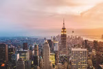 p253777-2-d57731c6a4.jpg