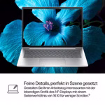 p253838-9-2b27be0d9b.jpg