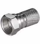 p303926-1-3d9d5bc966.jpg
